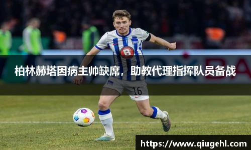 DP真人官网