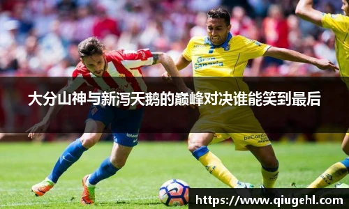大分山神与新泻天鹅的巅峰对决谁能笑到最后